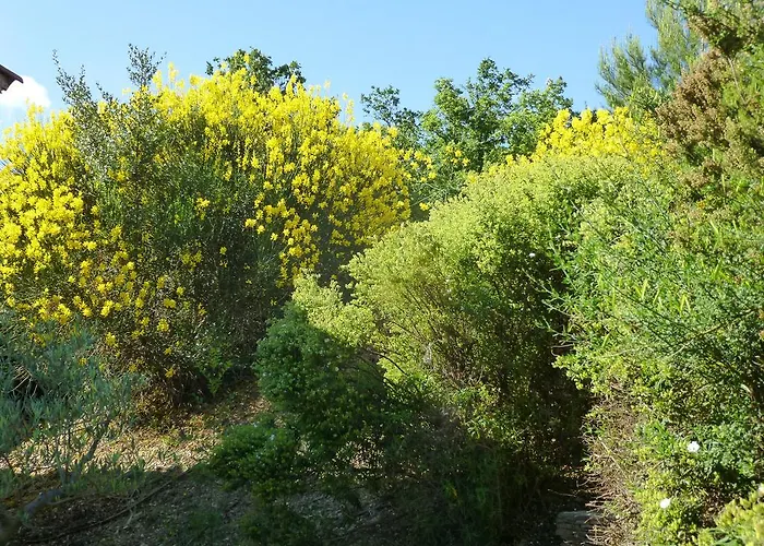 Le Tournesol Adult A Partir De 16 Ans Saint-Jean-de-la-Blaquiere