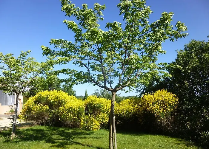 Σπίτι διακοπών Le Tournesol Adult A Partir De 16 Ans *